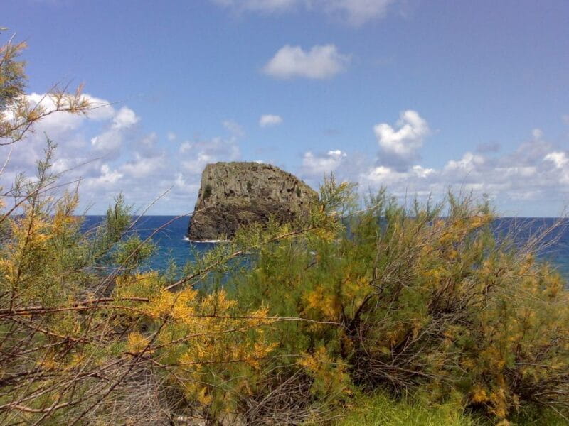 Madeira: Pico do Arieiro & Laurissilva Forest - East tour - Visiting Santana and Its Traditional Houses