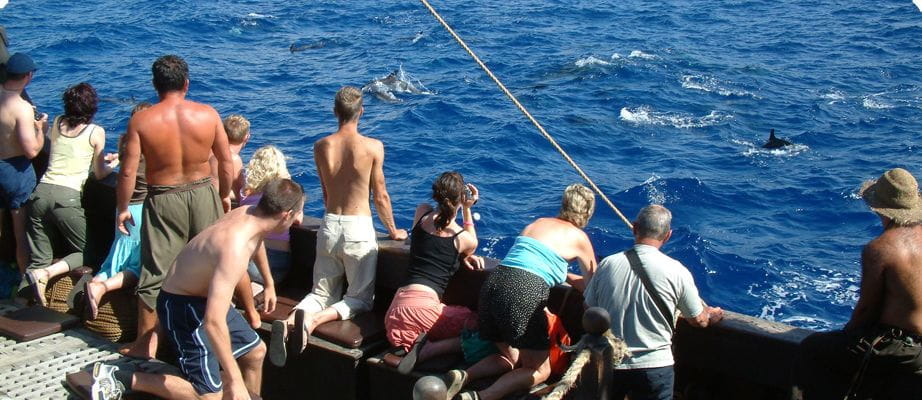Madeira Pirate Ship: 3-Hour Boat Trip - Onboard Experience