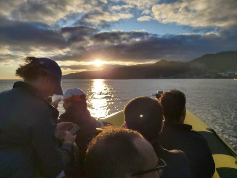Madeira: Ponta de São Lourenço Lighthouse Boat Tour - The Sum Up: Who Should Consider This Experience?