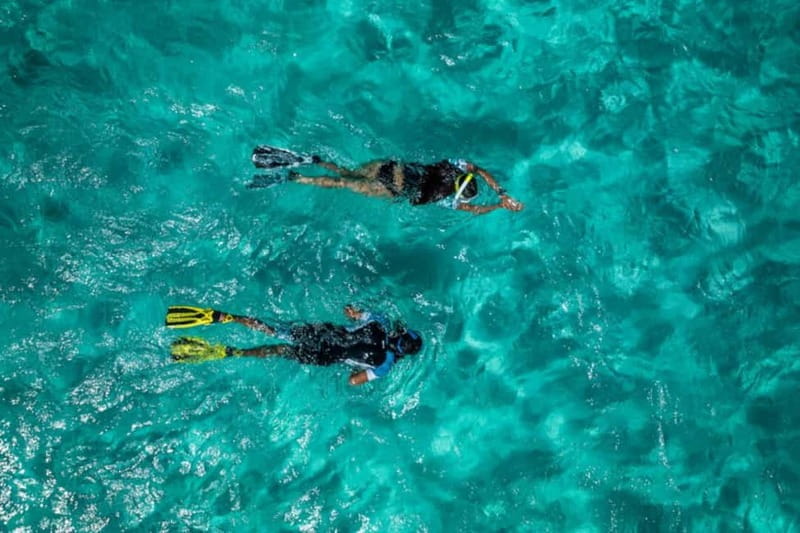 Madeira: Ponta de São Lourenço Snorkeling Boat trip - Who Will Love This Adventure?