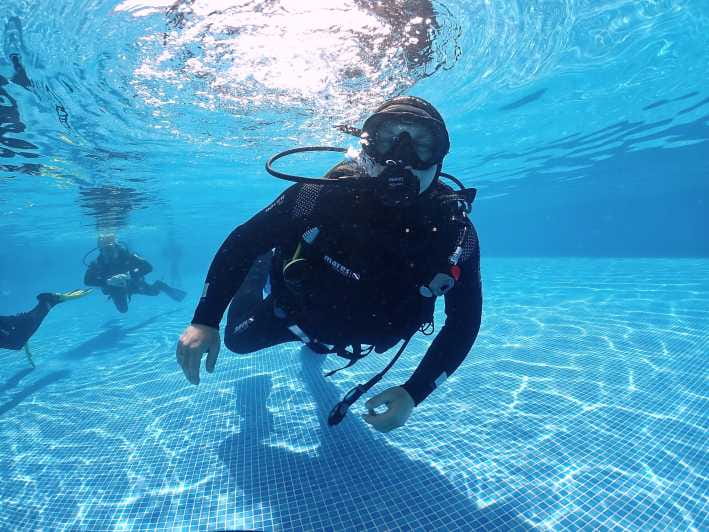 Madeira, Ponta São Lourenço: Scuba Diving for Beginners - Exploring Madeira’s Underwater Charm: A Beginner’s Guide to Scuba Diving at Ponta São Lourenço