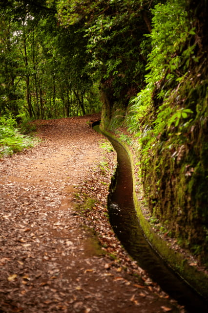 Madeira: PR 18 - Levada do Rei Hike Transfer - An authentic look at the Levada do Rei experience