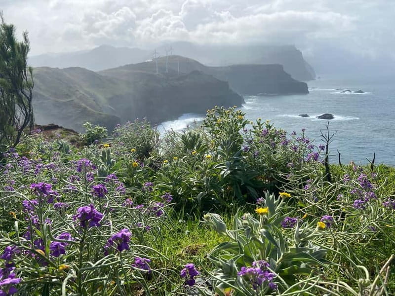 Madeira: PR8 -Ponta de São Lourenço Natural Reserve Transfer - Final Thoughts