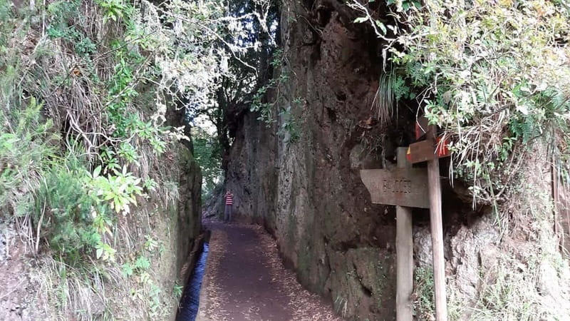 Madeira: Private 1.5-Kilometer Levada dos Balcões Hike PR11 - What Makes This Tour Special?