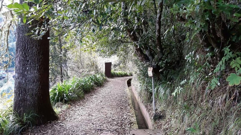 Madeira: Private 1.5-Kilometer Levada dos Balcões Hike PR11 - The Value of a Guided Private Tour in Madeira