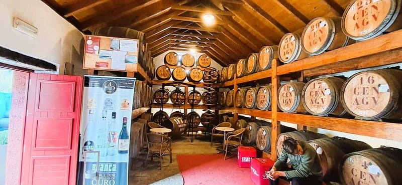 Madeira: Private 4x4 Nature Tour with Guide - Final Thoughts: Is This Tour Right for You?