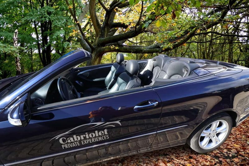 Madeira: Private Cabriolet Tour with Guide - West - Paul da Serra: The Plateau with a View