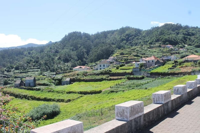 Madeira: Private Cabriolet Tour with Guide - West - Fonte do Bispo & Fanal Forest: Nature’s Calm