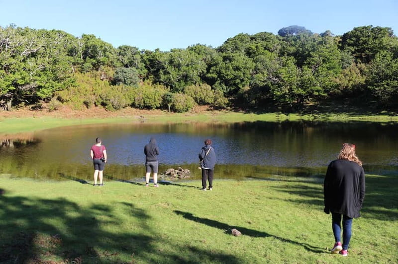 Madeira: Private Cabriolet Tour with Guide - West - Price and Logistics: Worth the Investment?