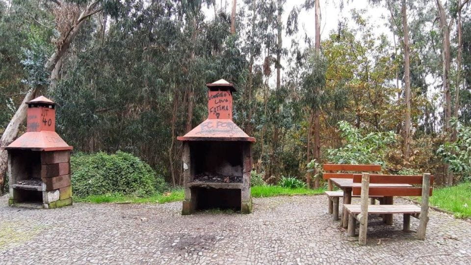 Madeira: Private Half-Day Jardim Da Serra Tour - Key Points