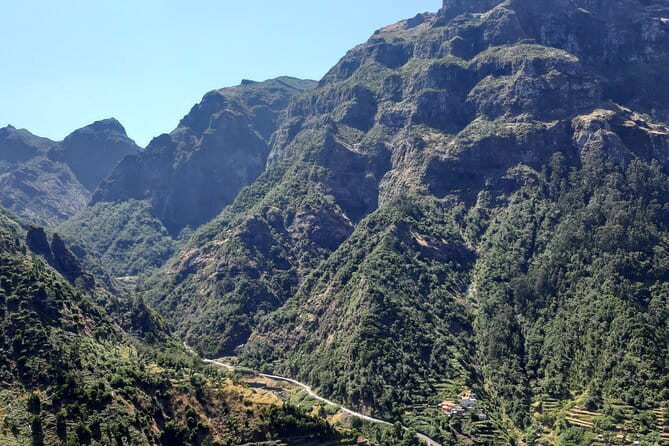 Madeira: Private Laurisilva Tour - Practical Tips for Making the Most of Your Tour