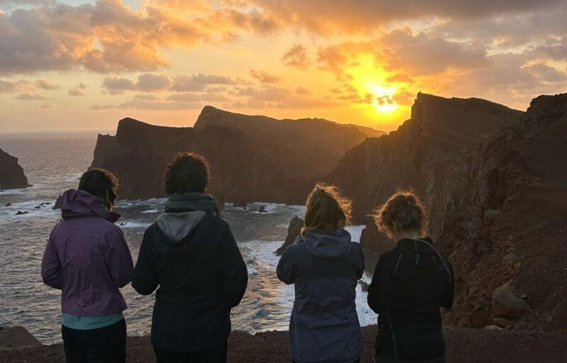 Madeira: Private Levada/Hike Experience with a Local Guide - Entering Madeira’s Natural Wonderland