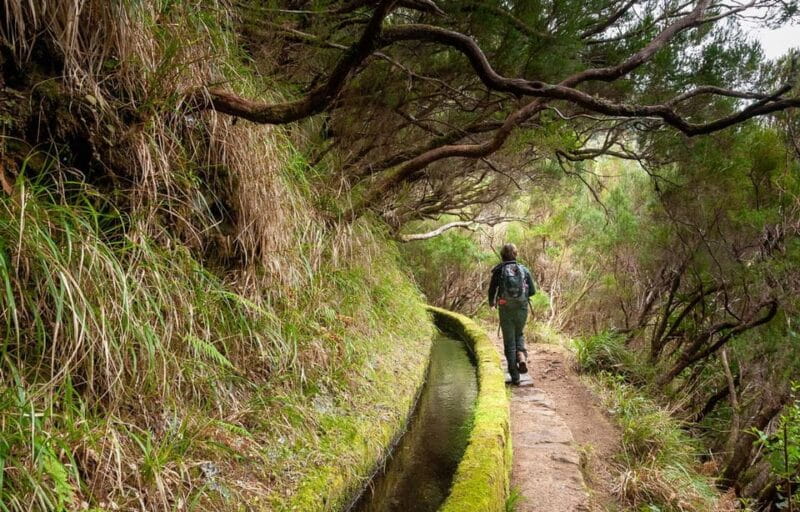 Madeira: Private Levada/Hike Experience with a Local Guide - What to Expect and What’s Not