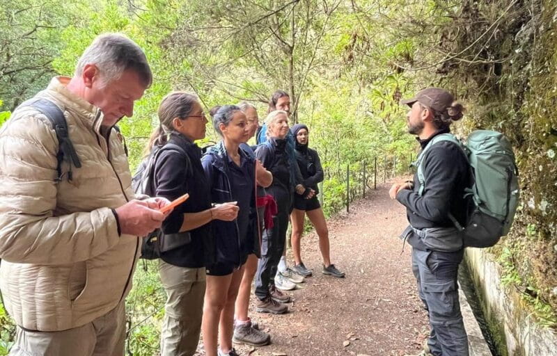 Madeira: Private Levada/Hike Experience with a Local Guide - Who Will Love This Tour?