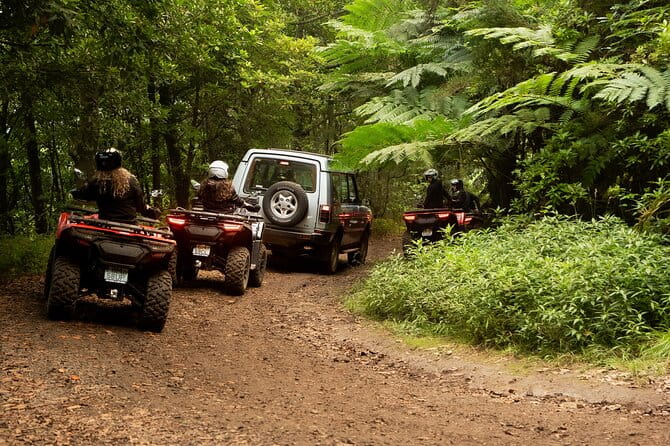 Madeira Private Off-road Quad Bike Experience - The Scenic Stops and Photo Opportunities