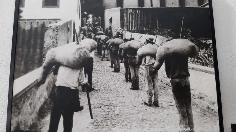 Madeira: Private Weekend Wine Tasting in São Vicente - Learning About Madeiras Winemaking Heritage
