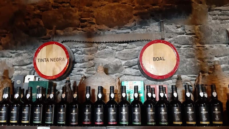 Madeira: Private Weekend Wine Tasting in São Vicente - Price and Logistics: Is It Worth It?