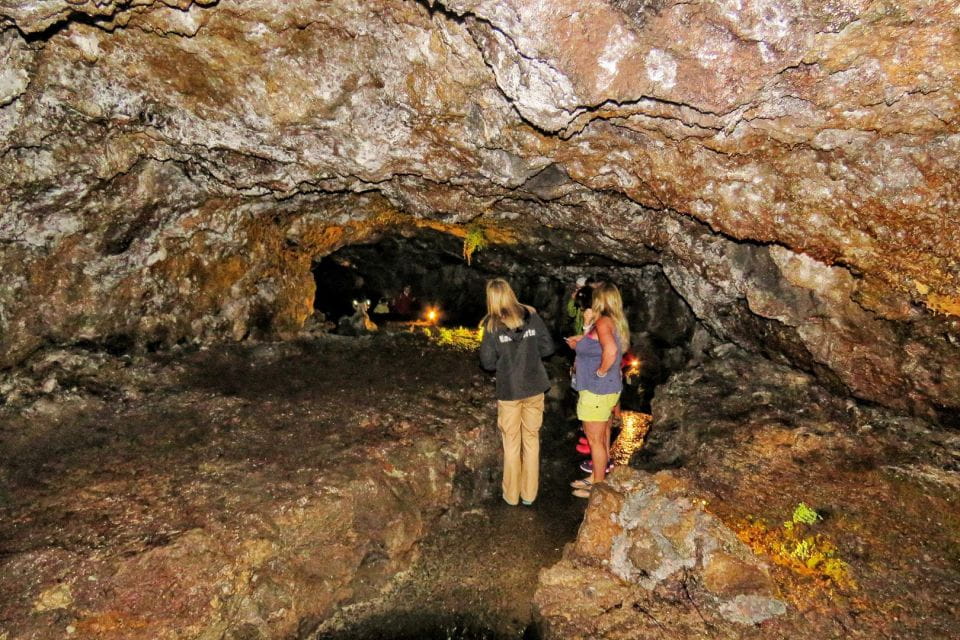 Madeira : Private Wine Experience by 4WD - Wine Tasting Experience