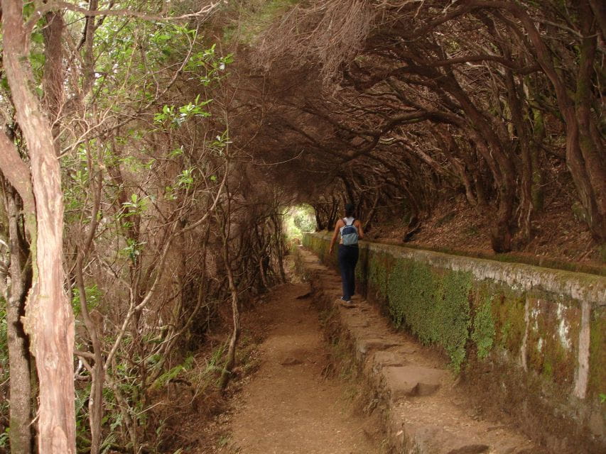 Madeira: Rabaçal Valleys 3-Hour Guided Walk - Cancellation Policy