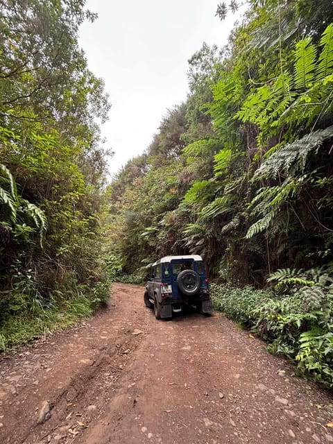 Madeira: Santana; Discover the enchanting East: Duration 7,5h - Who Will Love This Tour?