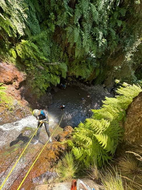Madeira Short Canyoning For Beginners Rochão Level 1 - Madeira Short Canyoning in Rochão: An In-Depth Look