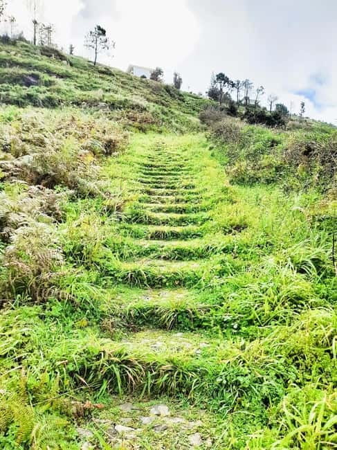 Madeira: South Madeira Private 4x4 Tour with Pickup - FAQ