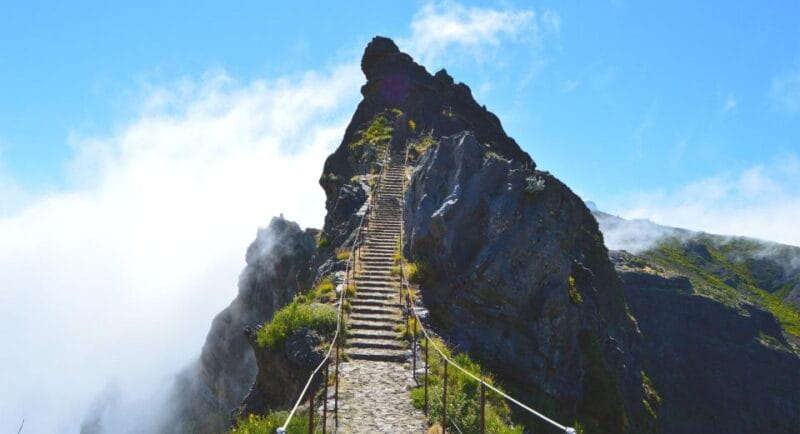 Madeira Stairway to Heaven to Larano Hike Mountain to Sea - Price and Practical Considerations