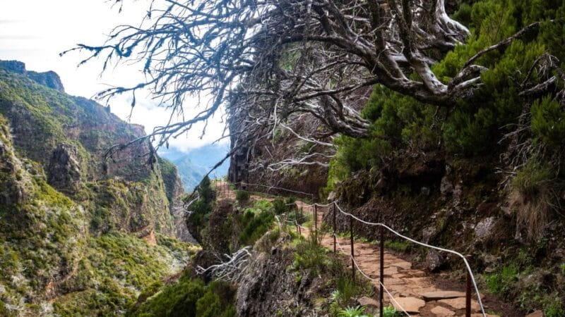 Madeira Stairway to Heaven to Larano Hike Mountain to Sea - Frequently Asked Questions