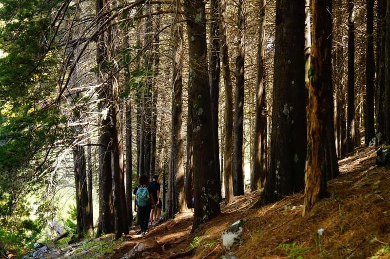 Madeira : Sunrise at Pico do Arieiro + 2 Hikes - PR1 and PR3 - Key Points / Takeaways