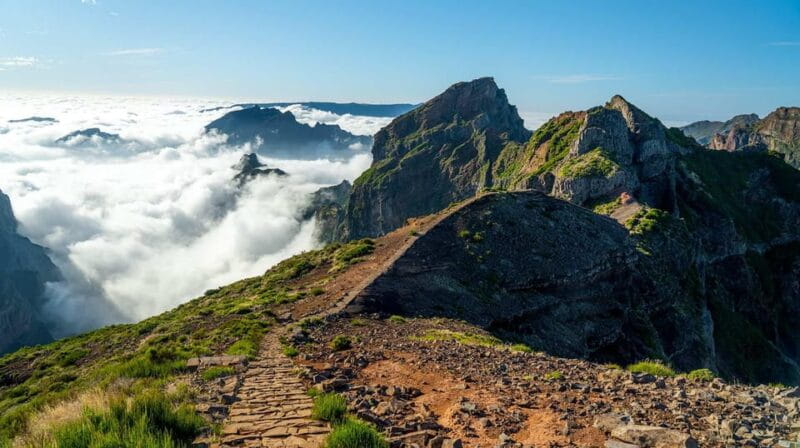 Madeira: Sunrise Tour with Hotel Pickup - A Morning with a View: Madeiras Sunrise Tour