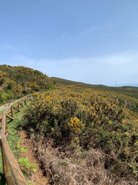 Madeira West Safari - The natural lava pools of Porto Moniz - Off-Road Fun and Authentic Experiences