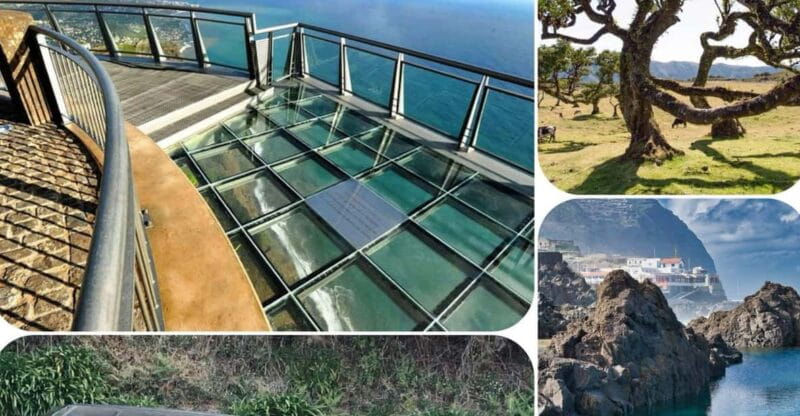 Madeira: West Tour With Guide Fanal Forest SykWalkExperience - Transportation and Group Size: How It Affects Your Trip