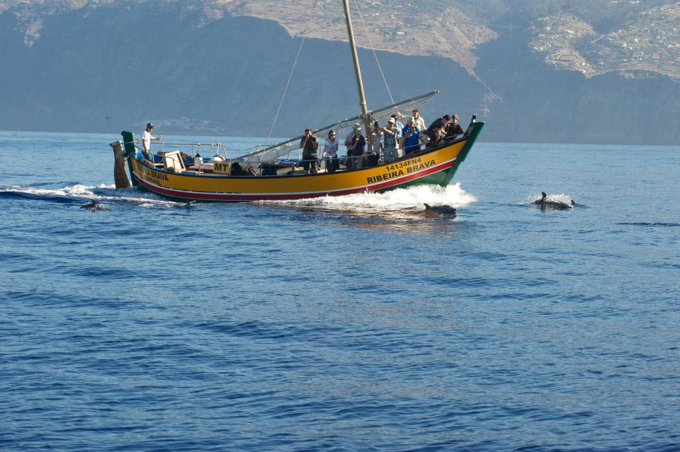 Madeira: Whale Watching Excursion in a Traditional Vessel - Positive Experiences