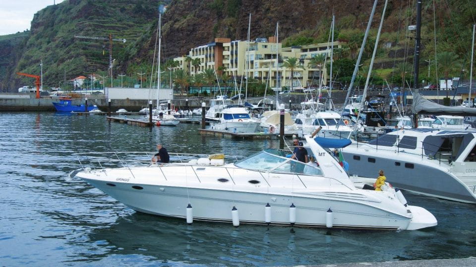 Madeira: Yacht Tours - Wildlife & Bays, Sunset, Desert Isles - Getting to the Marina