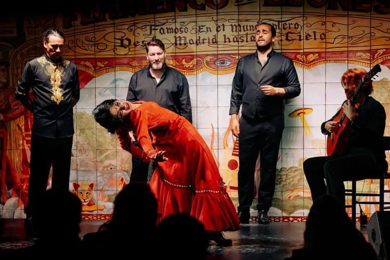 Madrid: Authentic Flamenco at Flamenco de Leones - Price and Logistics: Is It Worth It?