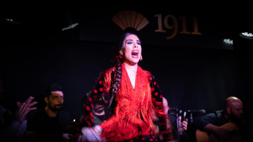 Madrid: Flamenco Show&Drink at Tablao 1911 (Worlds Oldest) - Flamenco Performance Highlights