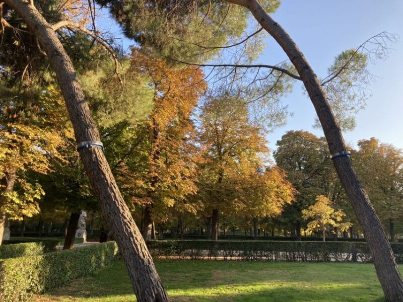Madrid: Flow Yoga class in Retiro Park - Practical Tips for Booking and Enjoying Your Yoga Class