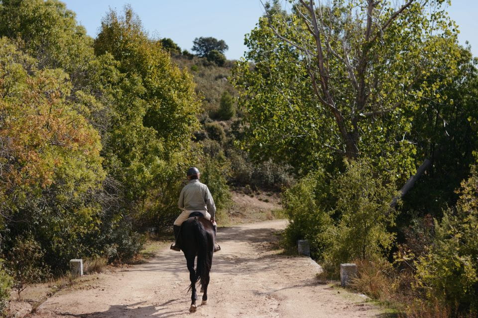 Madrid: Horse Riding in Sierra Del Guadarrama National Park - Things To Know