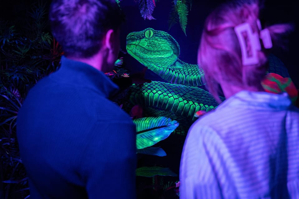 Madrid: IKONO Entry Ticket - Ideal Visitor Profiles