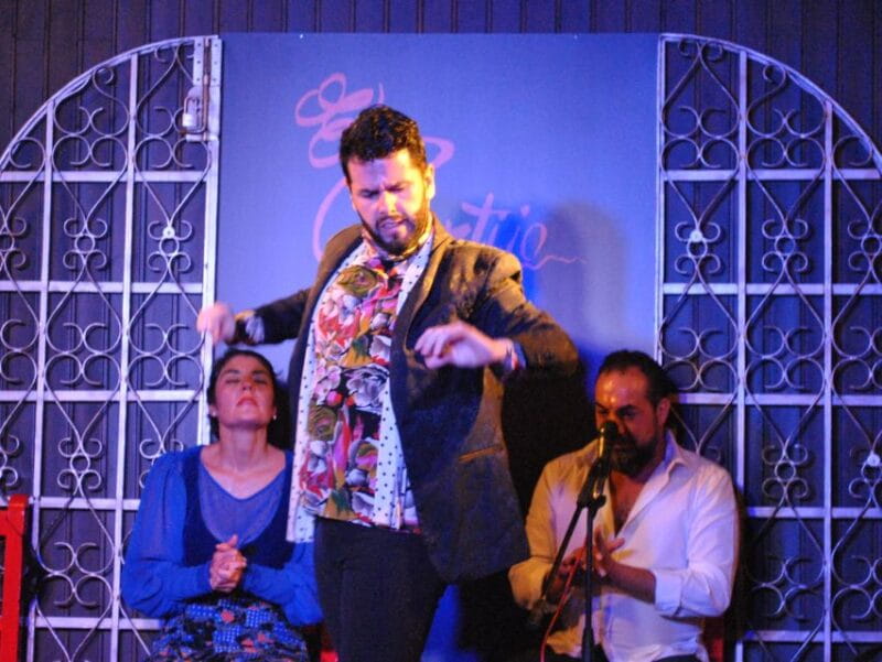 Madrid: Local Flamenco Show at El Cortijo - The Sum Up