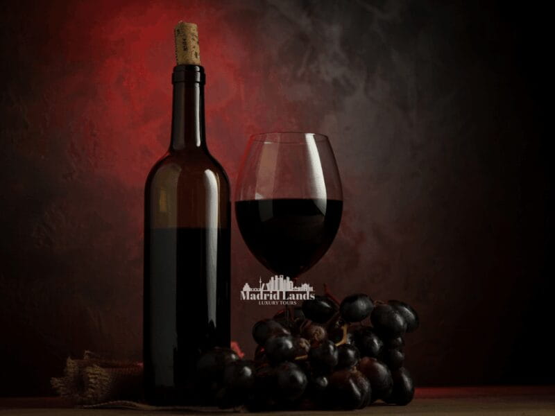 Madrid: Luxury Winner and Ribera del Duero Tour - Entering the World of Ribera del Duero