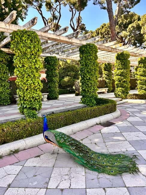 Madrid: Magic Retiro Park Bike Tour - Who Would Love This Tour?