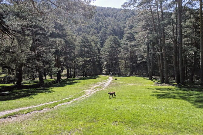 Madrid Mountains Free Walking Tour - Key points / Takeaways