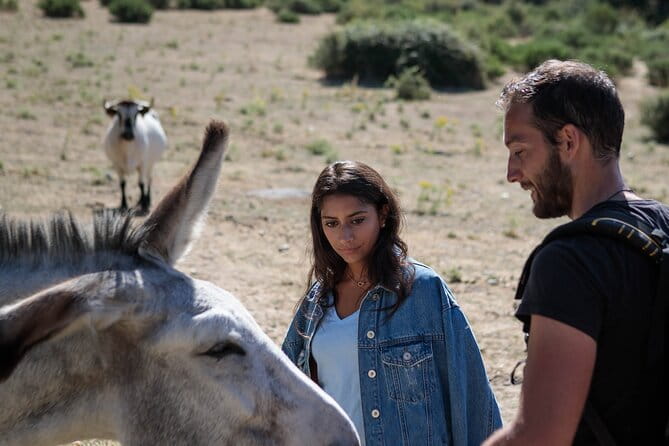 Madrid Mountains Free Walking Tour - Who Will Love This Tour?