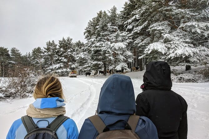 Madrid Mountains Free Walking Tour - Final Thoughts: Who Should Book This Tour?