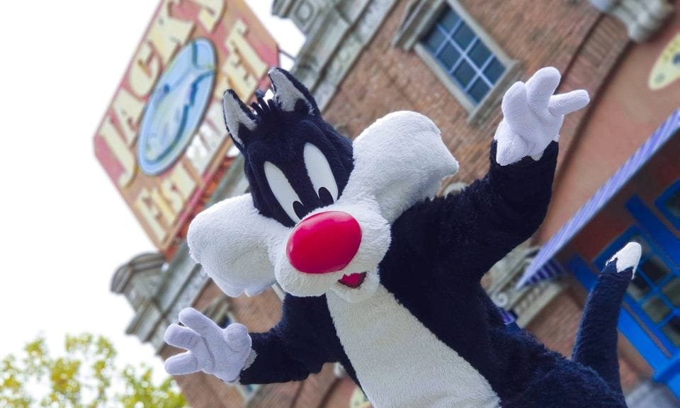 Madrid: Parque Warner Ticket and Roundtrip Transportation - Facility and Access Limitations