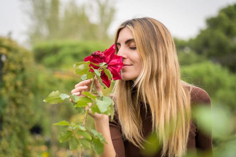 Madrid: Professional photoshoot at the Retiro Park - Who Would Love This Experience?