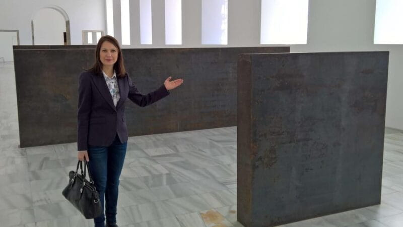 Madrid Reina Sofia Museum & Picasso's Guernica Private Tour - Who Would Love This Tour?