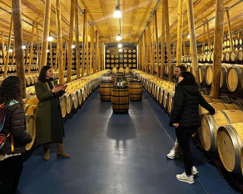 Madrid: Ribera del Duero Wine Tour with Tastings and Lunch - Key Points / Takeaways