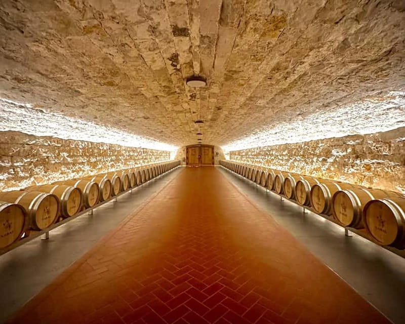 Madrid: Ribera del Duero Wine Tour with Tastings and Lunch - Final Thoughts